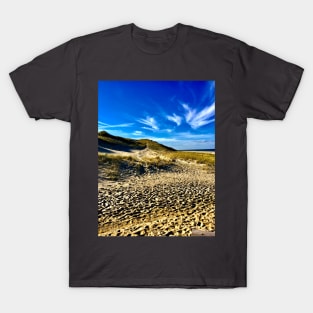 Newcomb Hollow Beach T-Shirt